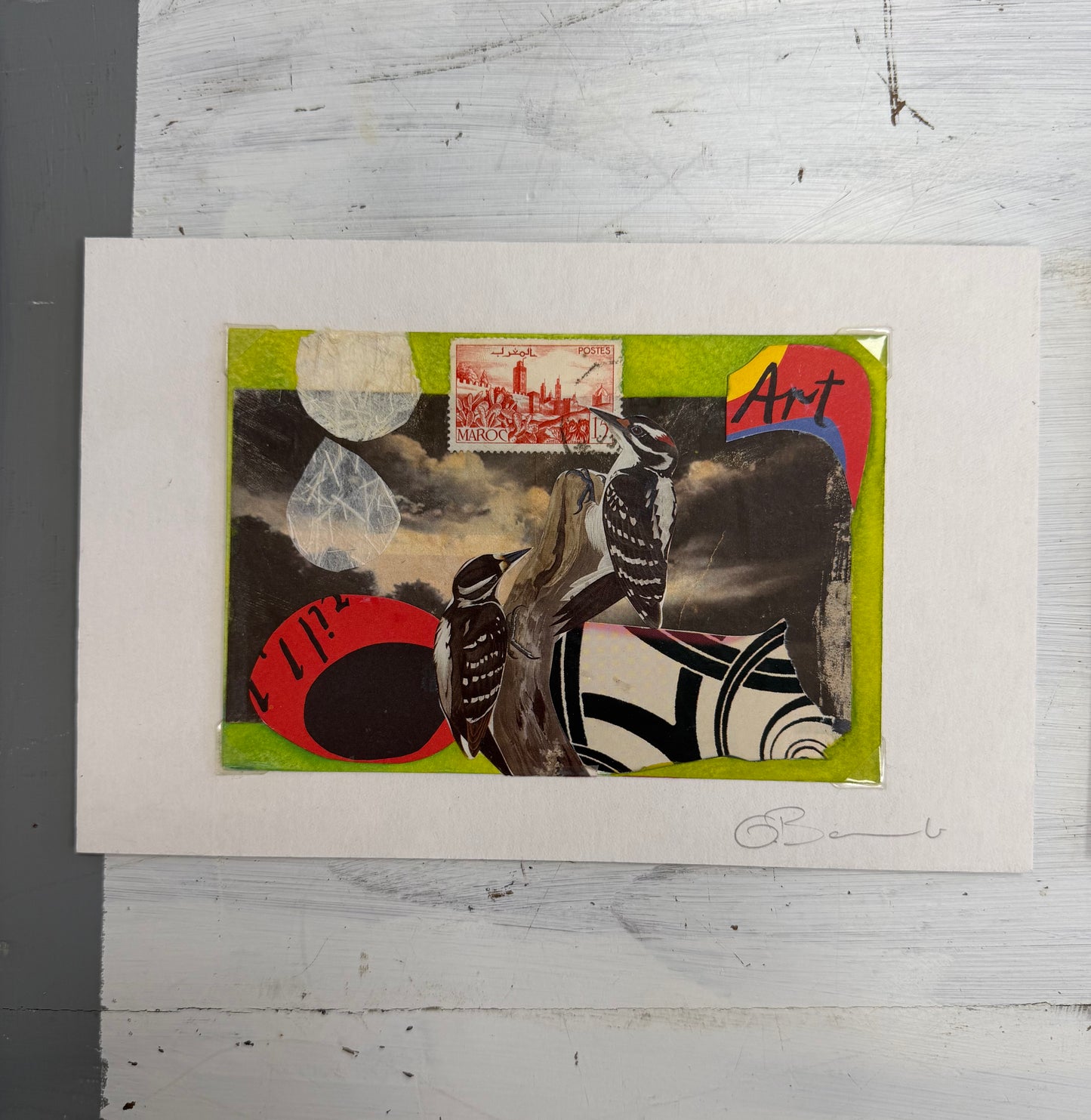 Postcard from the other side - birds
